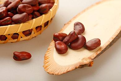 《巴比伦的陨落》已经制作完成 将更新免费模式